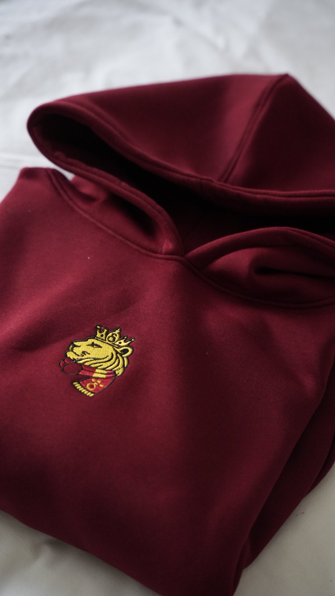 Taraftar Lion - Oversize Premium Hoodie