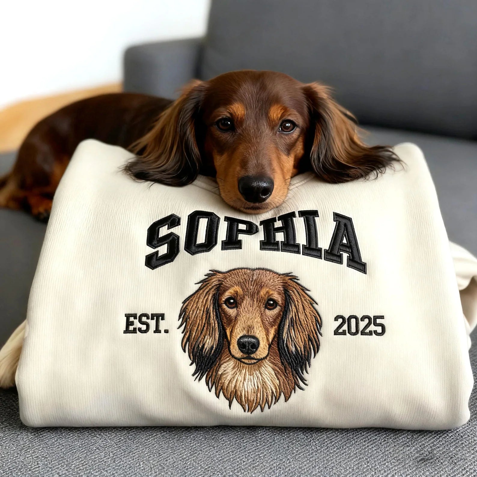 Patili Dostlar Kendin Tasarla - Premium Oversize Sweatshirt